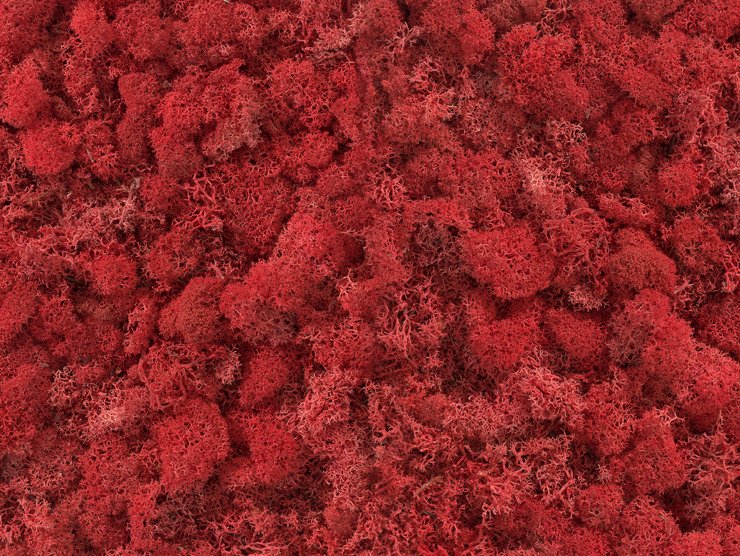 Natural Red